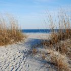 Un cielo da favola: tour all’imbrunire tra pinete, dune e lavorieri da pesca