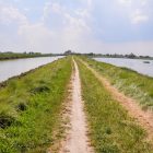 Un cielo da favola: tour all’imbrunire tra pinete, dune e lavorieri da pesca