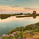 Salina Comacchio