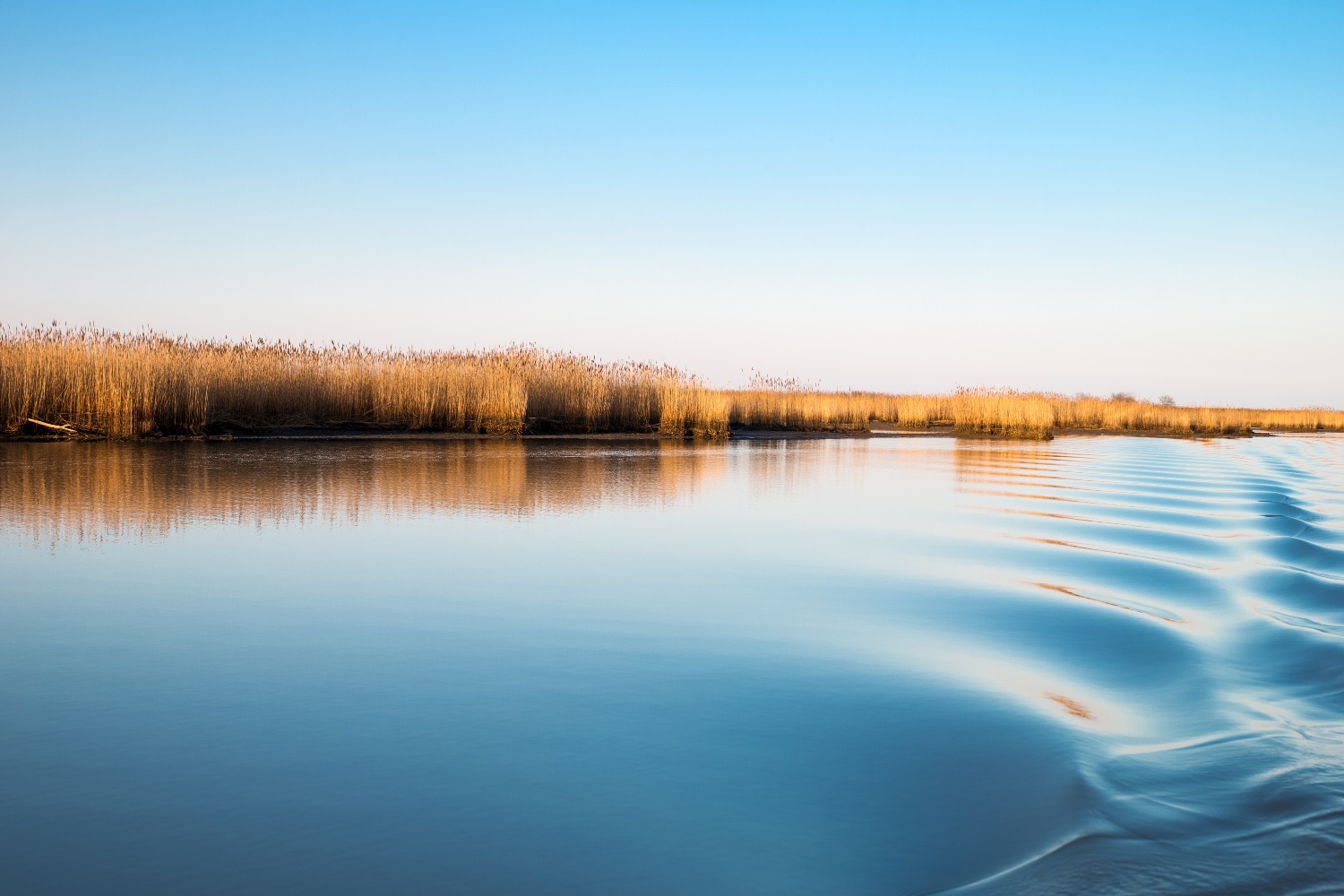 Comacchio Experience